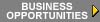 Business Opportunities (4101 bytes)
