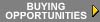 Buying Opportunities(3956 bytes)