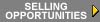 Selling Opportunities (3920 bytes)