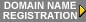 Domain Name Registration(4899 bytes)